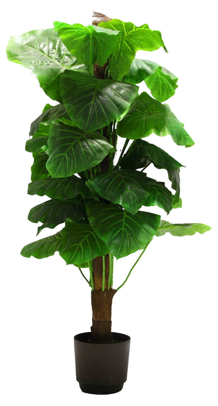 Planter 1