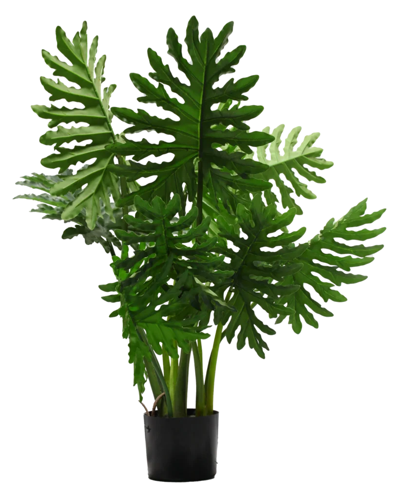 Planter 2
