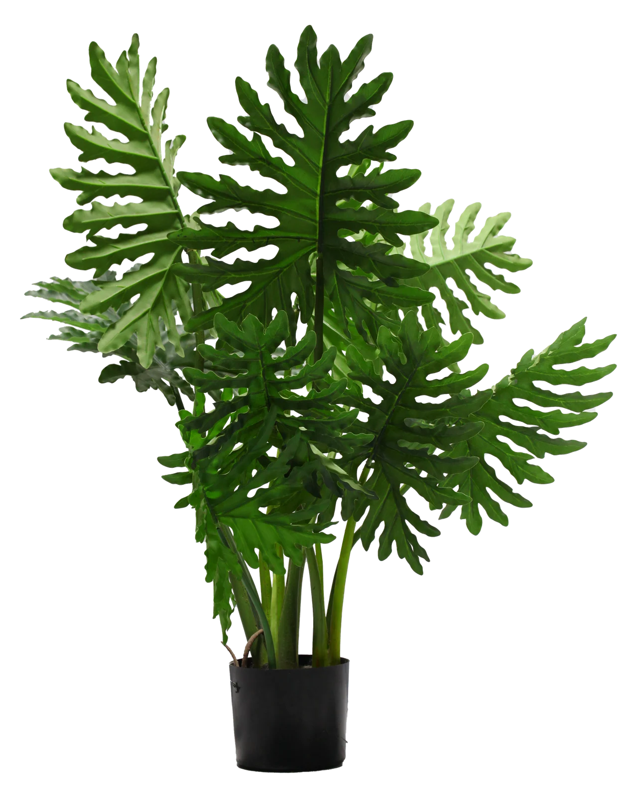 Planter 2