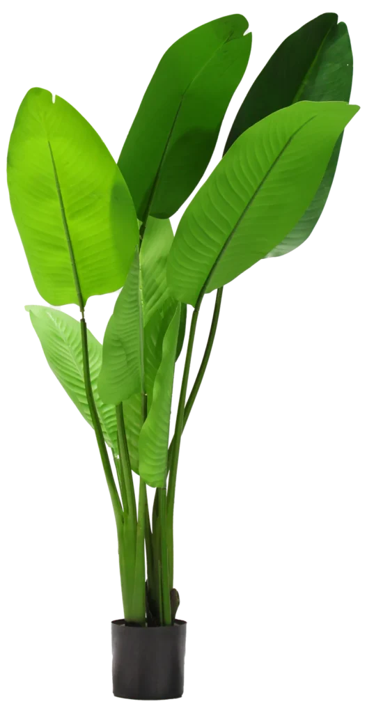 Planter 3