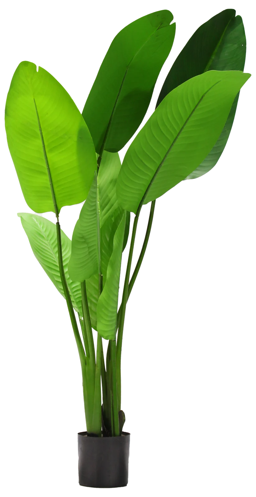 Planter 3