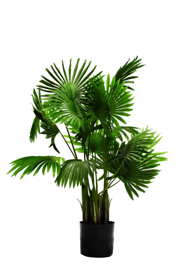 Planter 4