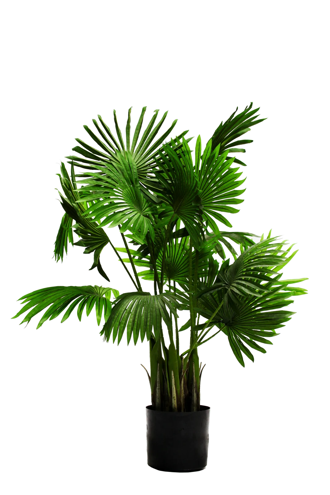 Planter 4