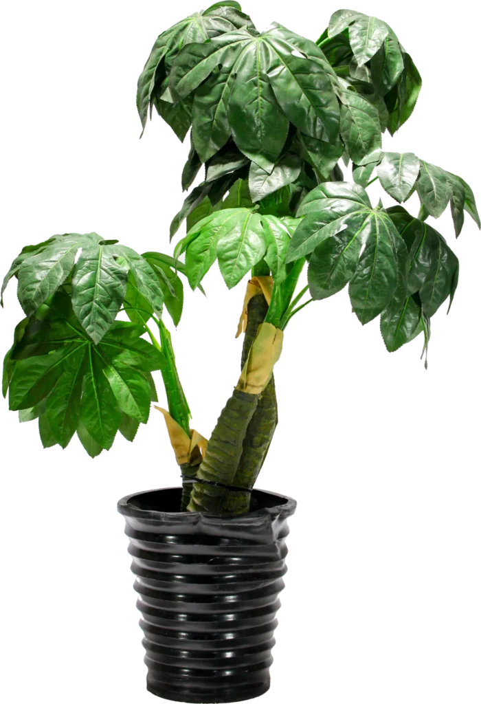 Planter 6
