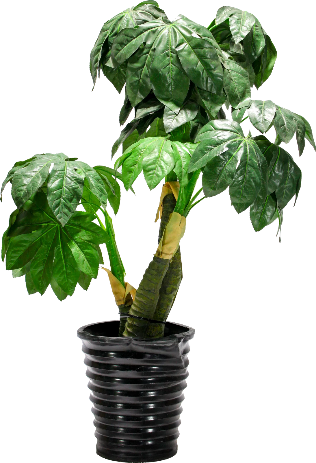 Planter 6