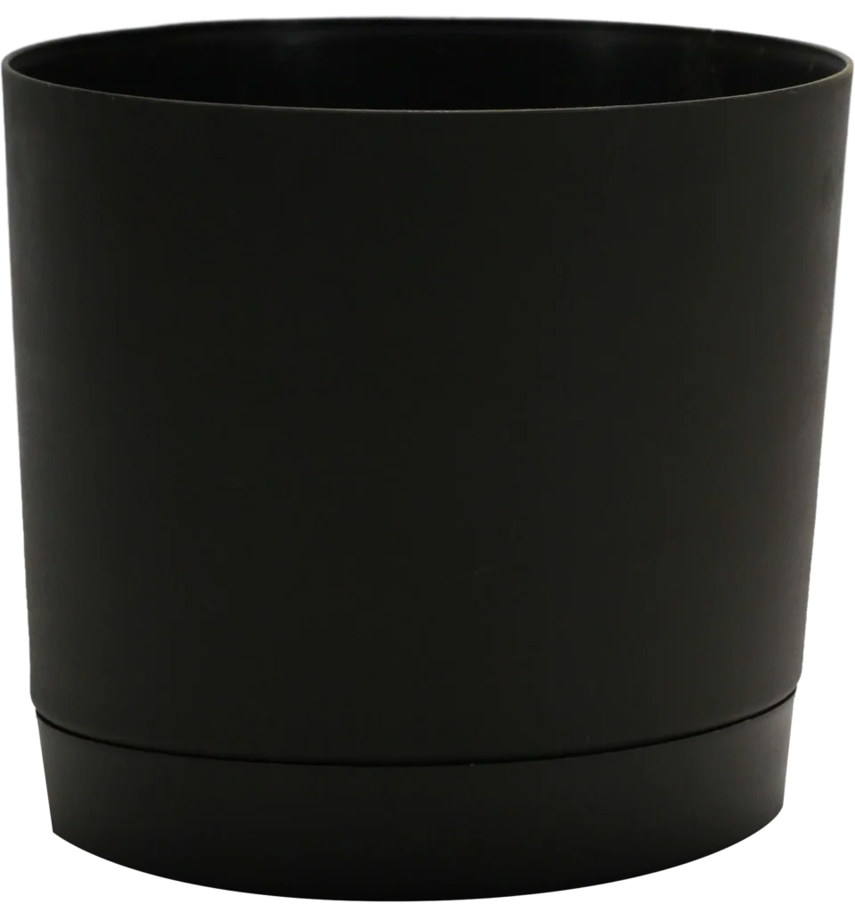 Recommended Plant Base