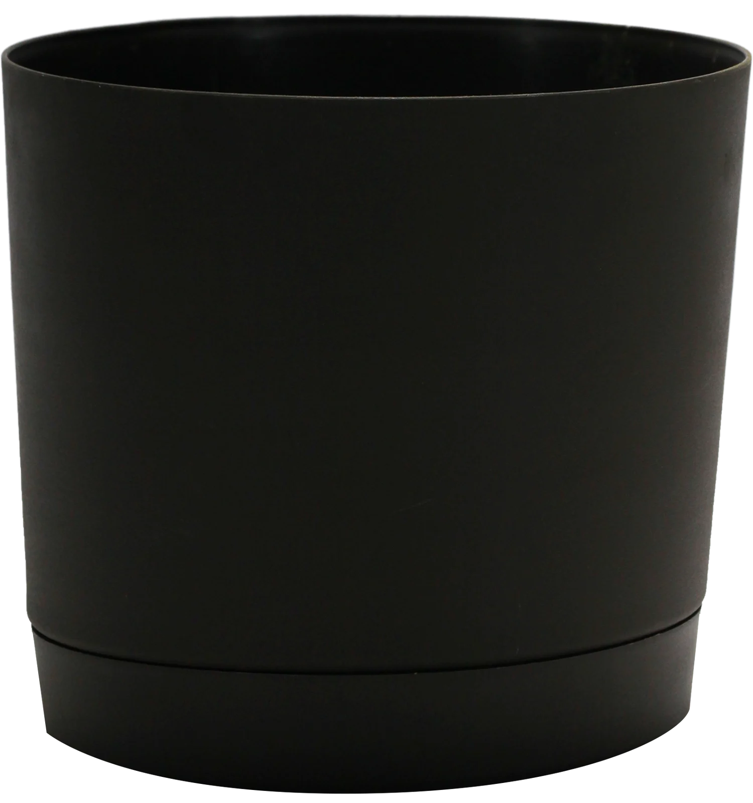 Recommended Plant Base