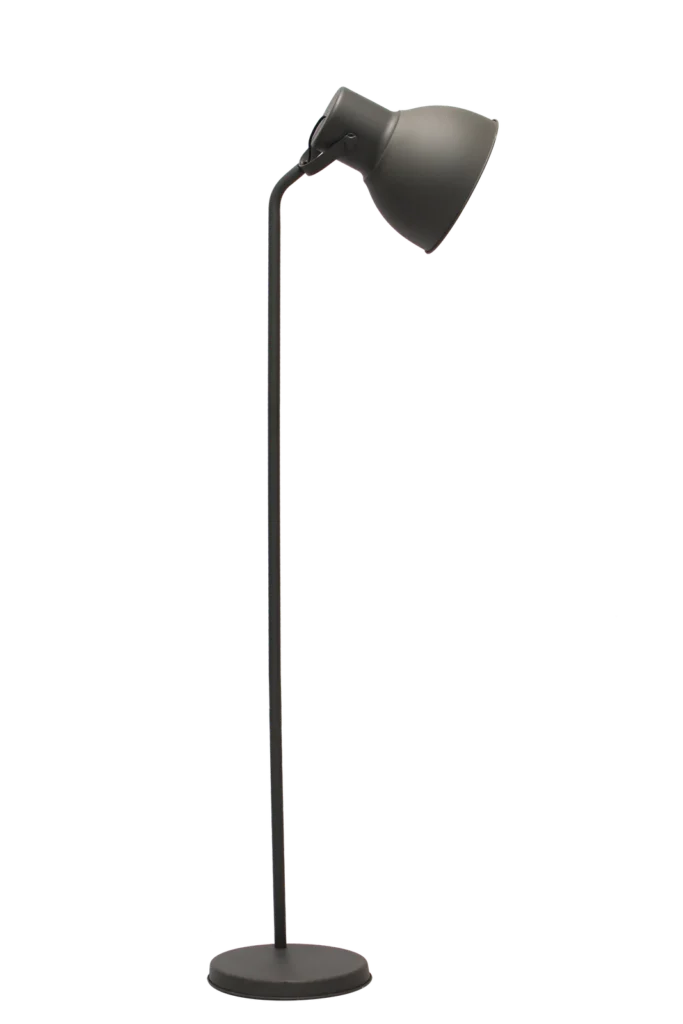 Standing Floor Lamp
