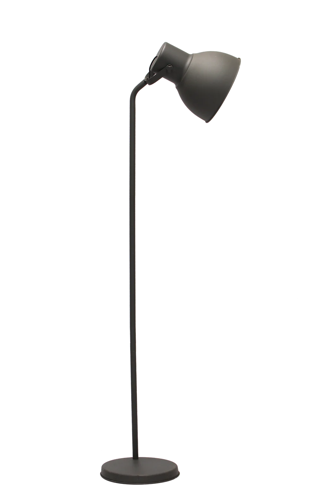 Standing Floor Lamp